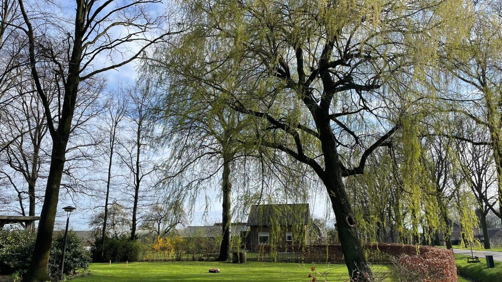 Hoeve Bij Vosselen Asten Exterior photo
